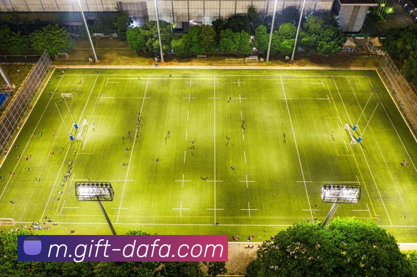 大发娱乐APP 封面图